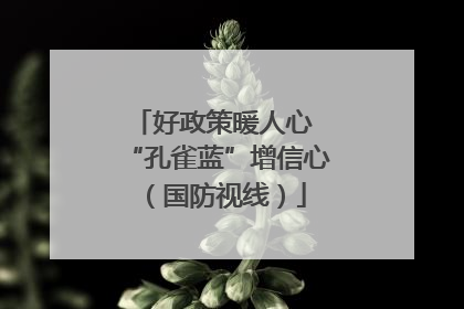 好政策暖人心 “孔雀蓝”增信心（国防视线）