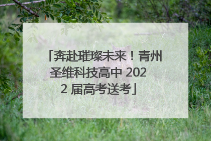 奔赴璀璨未来！青州圣维科技高中 2022 届高考送考