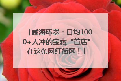 威海环翠：日均1000+人冲的宝藏“首店”在这条网红街区！