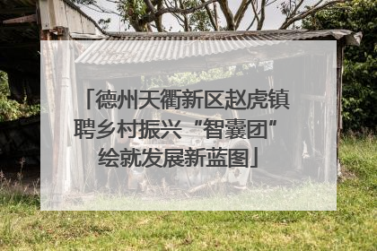 德州天衢新区赵虎镇聘乡村振兴“智囊团” 绘就发展新蓝图