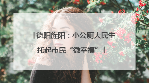 德阳旌阳：小公厕大民生 托起市民“微幸福”