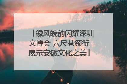 徽风皖韵闪耀深圳文博会 六尺巷领衔展示安徽文化之美