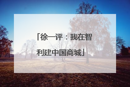 徐一评：我在智利建中国商城