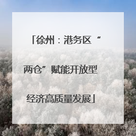 徐州：港务区“两仓”赋能开放型经济高质量发展