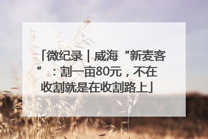 微纪录｜威海“新麦客”：割一亩80元，不在收割就是在收割路上