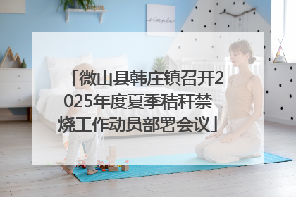 微山县韩庄镇召开2025年度夏季秸秆禁烧工作动员部署会议