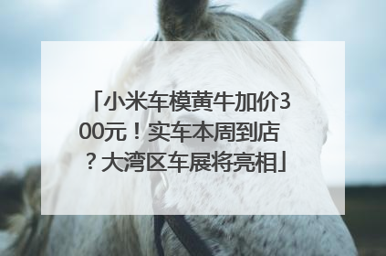 小米车模黄牛加价300元！实车本周到店？大湾区车展将亮相