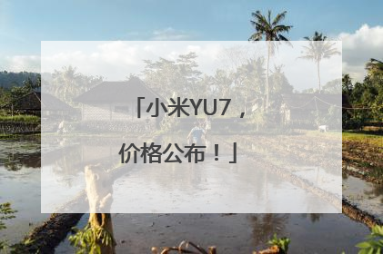 小米YU7，价格公布！