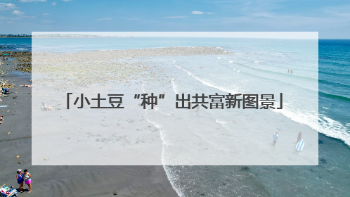 小土豆“种”出共富新图景