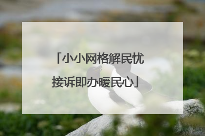 小小网格解民忧 接诉即办暖民心