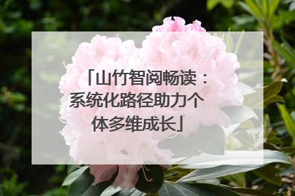 山竹智阅畅读：系统化路径助力个体多维成长