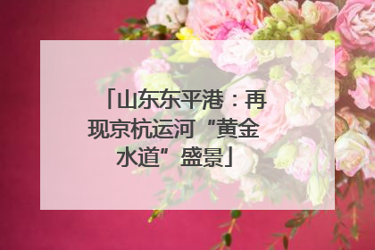 山东东平港：再现京杭运河“黄金水道”盛景