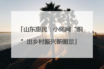 山东惠民：小绳网“织”出乡村振兴新图景