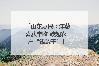 山东惠民：洋葱喜获丰收 鼓起农户“钱袋子”