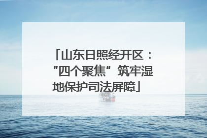 山东日照经开区：“四个聚焦”筑牢湿地保护司法屏障