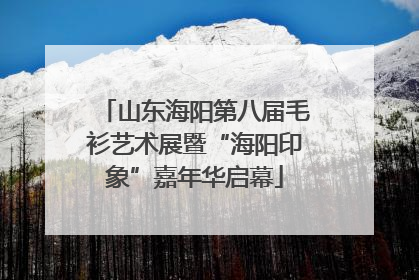 山东海阳第八届毛衫艺术展暨“海阳印象”嘉年华启幕