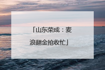 山东荣成：麦浪翻金抢收忙