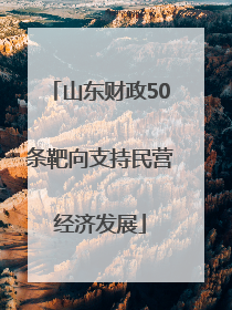 山东财政50条靶向支持民营经济发展