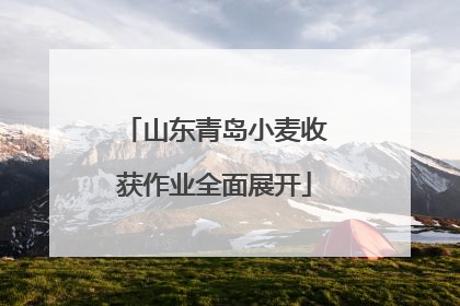 山东青岛小麦收获作业全面展开