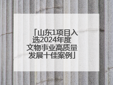 山东1项目入选2024年度文物事业高质量发展十佳案例