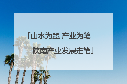 山水为墨 产业为笔——陕南产业发展走笔