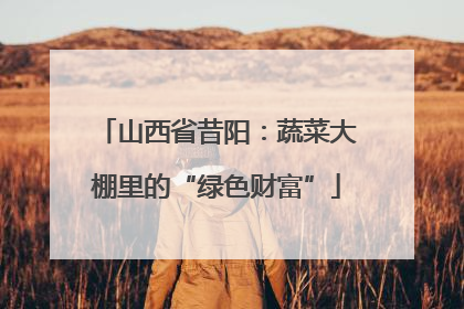 山西省昔阳：蔬菜大棚里的“绿色财富”