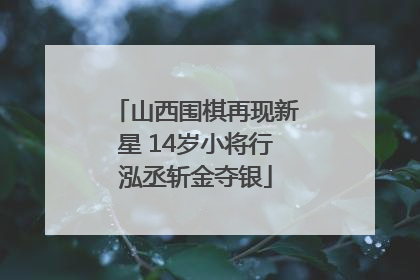 山西围棋再现新星 14岁小将行泓丞斩金夺银