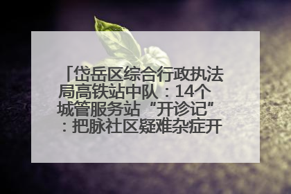 岱岳区综合行政执法局高铁站中队：14个城管服务站“开诊记”：把脉社区疑难杂症开出治理良方