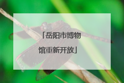 岳阳市博物馆重新开放