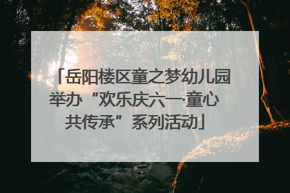 岳阳楼区童之梦幼儿园举办“欢乐庆六一·童心共传承”系列活动