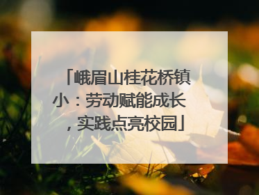 峨眉山桂花桥镇小：劳动赋能成长，实践点亮校园