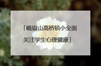 峨眉山高桥镇小全面关注学生心理健康