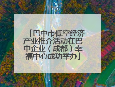 巴中市低空经济产业推介活动在巴中企业（成都）幸福中心成功举办