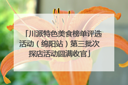 川派特色美食榜单评选活动（绵阳站）第三批次探店活动圆满收官
