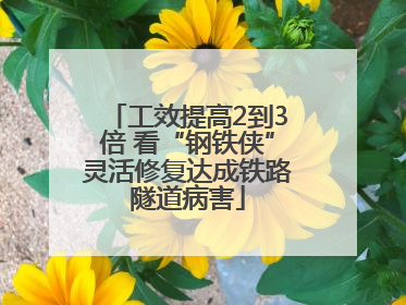 工效提高2到3倍 看“钢铁侠”灵活修复达成铁路隧道病害