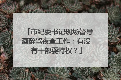 市纪委书记现场督导酒醉驾夜查工作：有没有干部耍特权？