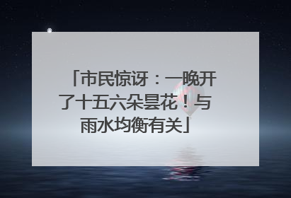 市民惊讶：一晚开了十五六朵昙花！与雨水均衡有关