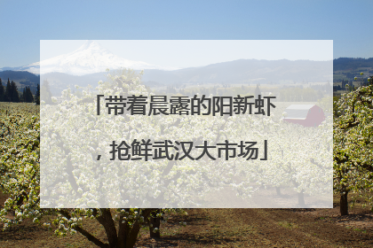 带着晨露的阳新虾，抢鲜武汉大市场