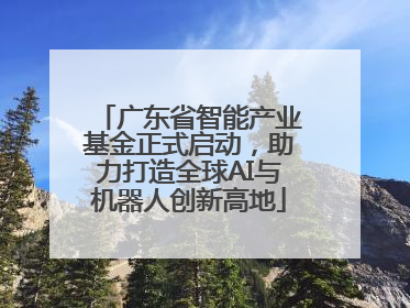 广东省智能产业基金正式启动，助力打造全球AI与机器人创新高地
