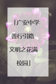 广安中学善行引路 文明之花满校园
