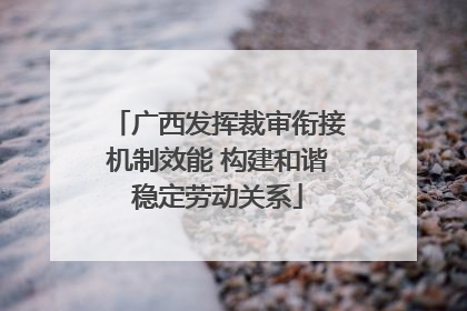 广西发挥裁审衔接机制效能 构建和谐稳定劳动关系