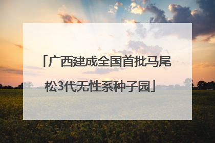 广西建成全国首批马尾松3代无性系种子园