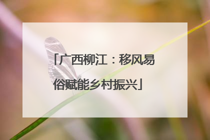 广西柳江：移风易俗赋能乡村振兴