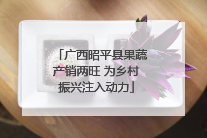 广西昭平县果蔬产销两旺 为乡村振兴注入动力