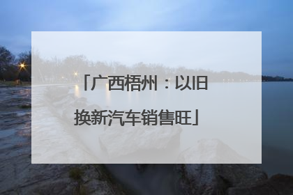 广西梧州：以旧换新汽车销售旺