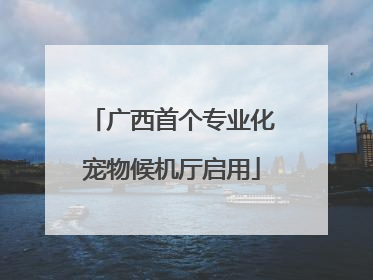 广西首个专业化宠物候机厅启用