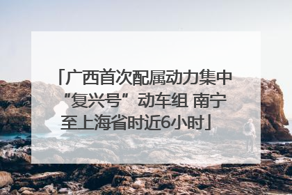 广西首次配属动力集中“复兴号”动车组 南宁至上海省时近6小时