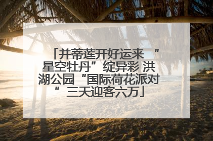 并蒂莲开好运来 “星空牡丹”绽异彩 洪湖公园“国际荷花派对”三天迎客六万