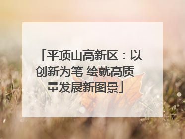 平顶山高新区：以创新为笔 绘就高质量发展新图景