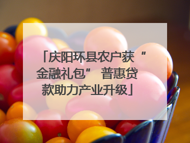 庆阳环县农户获“金融礼包” 普惠贷款助力产业升级